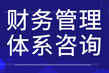 财务咨询《财务管理体系咨询》